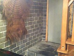 -张记牛肉面馆(天津路店)