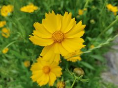 -姚家山旅游风景区