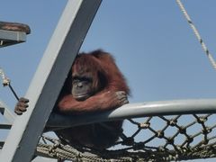 -西霞口神雕山野生动物世界