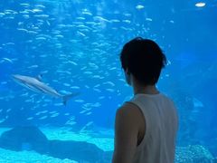 -海合安成都极地海洋公园