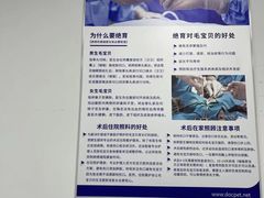-宠颐生动物医院·小陆分院