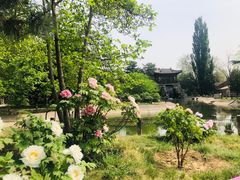 -国家植物园南园