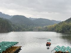 -黔灵山公园
