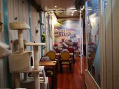 -猫小院猫主题咖啡厅(北锣店)