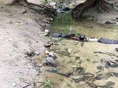 -白水寺森林公园
