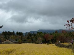-塔川景区