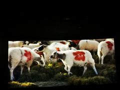 -武汉华夏国际影城(鲁广店)