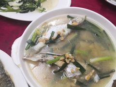 -蛇口康乐快餐鱼仔档(翠苑小区店)