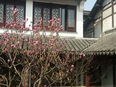 -碧丽宫大酒店(召稼楼店)