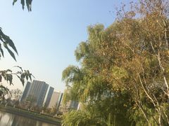-西海子公园