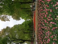 android_upload_pic-上海鲜花港