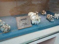 -陕西自然博物馆