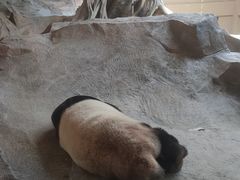 -宁波野生动物园
