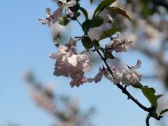 -昆山城市生态森林公园