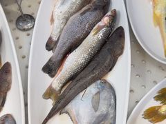 -大碗李·海鲜天津菜(河北路店)