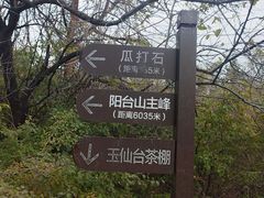 -阳台山自然风景区