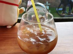 -柴犬高等学院·狗咖·柴犬售卖·宠物训练