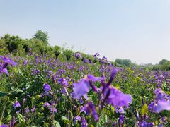 -汉长安城未央宫国家考古遗址公园