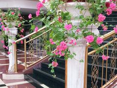 -官房大酒店-玉龙旋宫观景餐厅