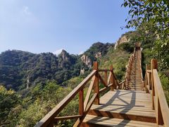 -大岭沟猕猴桃谷风景区