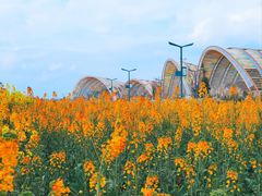 -中国天府农业博览园