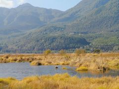 -腾冲北海湿地