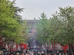 -西安青龙寺遗址景区