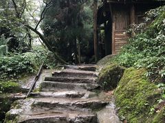 -青城山