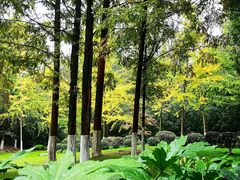 -上海市保健医疗中心