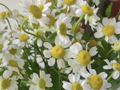 -雪蔓之鲜花气球派对(家佳源时代中心店)