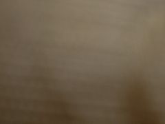 -Lotso Lunch Box 草莓熊餐盒