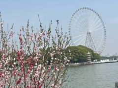 -无锡蠡湖国家湿地公园-蠡园