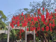 -人民公园(罗湖区)