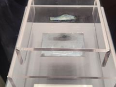 -隋唐大运河文化博物馆