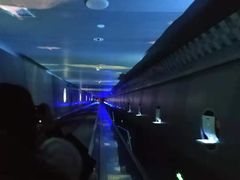 -白鹤梁水下博物馆
