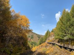 -苏木山森林公园
