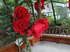 -黄山翡翠谷景区