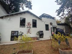 -荔湾湖公园