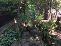 -井之头恩赐公园