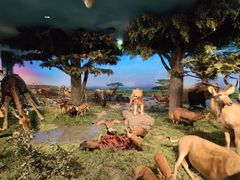 -国家自然博物馆