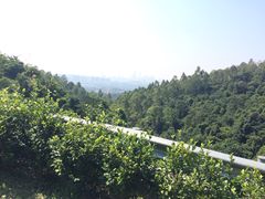 -火炉山森林公园
