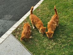 -星巴克(深圳前海企业公馆店)