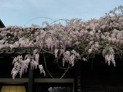 -老门东历史文化街区