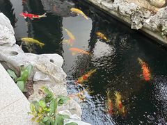 -金海华·华宴江南(斜塘店)