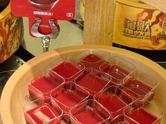 -龍歌自助小火锅(市南金茂湾店)