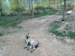 -北京野生动物园