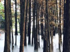 -东湖落雁景区
