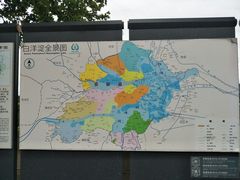 -白洋淀景区