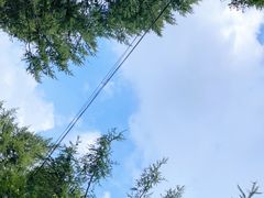 -白草畔自然风景区