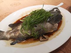 -海儀美食楼(湾仔海鲜街店)
